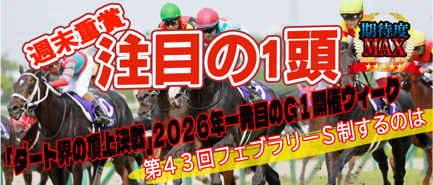 毎週水曜日更新